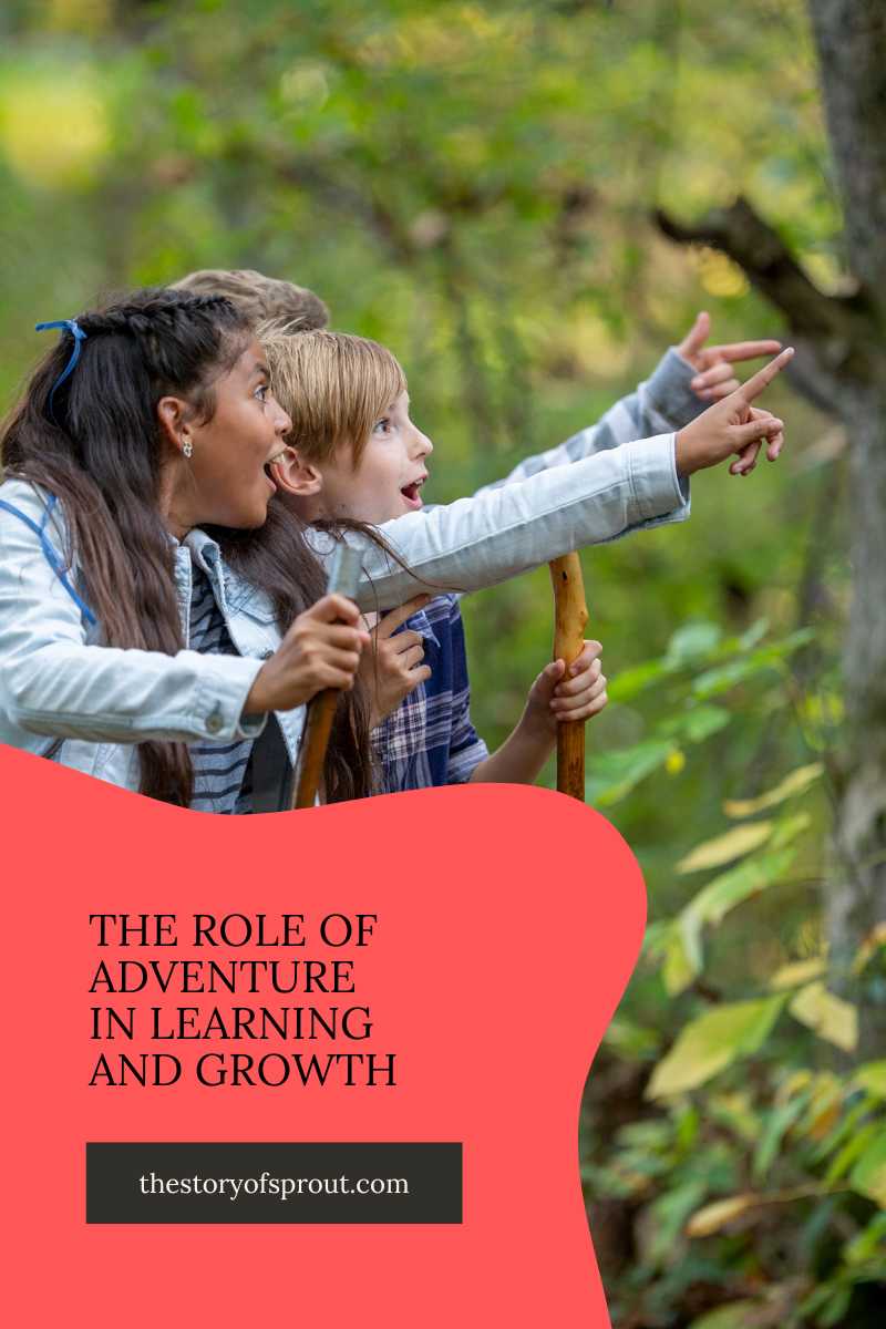 The Role of Adventure in Learning and Growth
